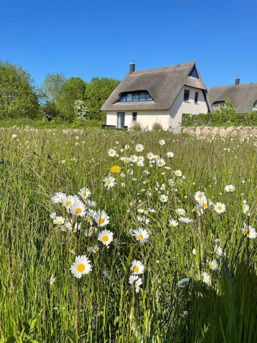 Stilvolles Reetdachhaus Coastline An Der Ostsee Gross Schwansee Exterior photo