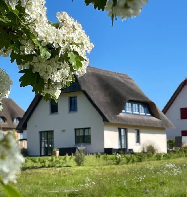 Stilvolles Reetdachhaus Coastline An Der Ostsee Gross Schwansee Exterior photo